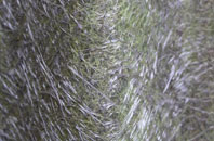 Bucklegate fibreglass roof work