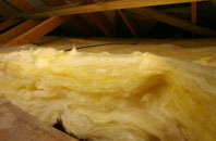 Bucklegate pitch roof insulation
